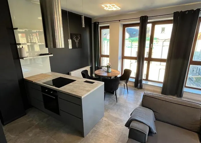 Windows To The Stylish Appartement