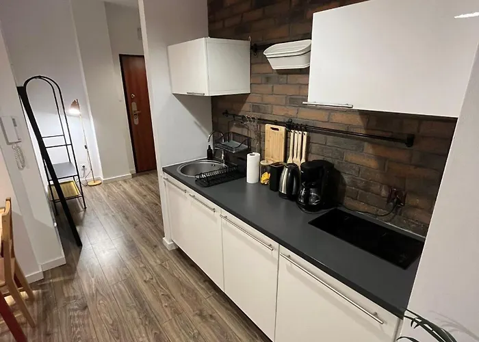 Appartement Windows To The Stylish Poznań